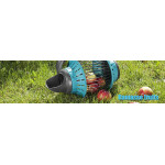 Recoge fruta