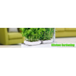 Kitchen Gardening