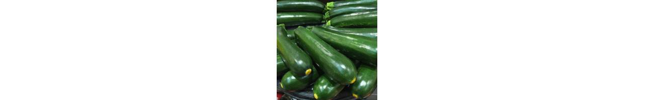 Courgette