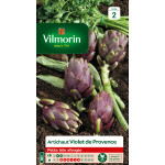 Carciofi