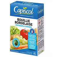 bouillie