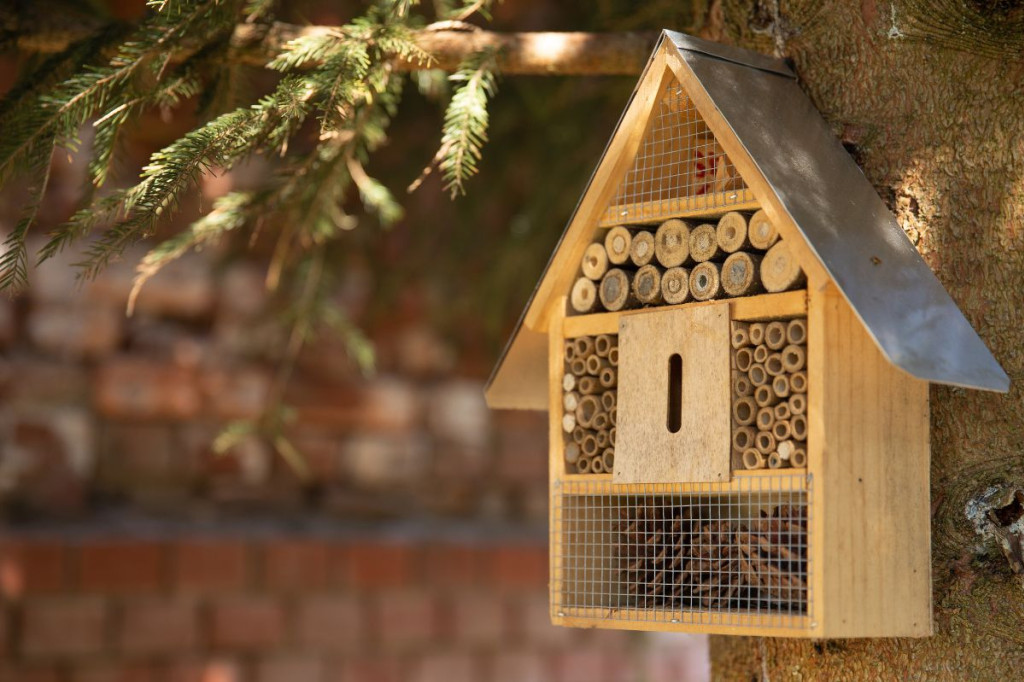 ¿Por qué instalar un hotel de insectos en su jardín?