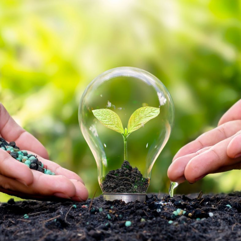 Concimazione personalizzata: scegli il fertilizzante ideale per ogni tipo di pianta