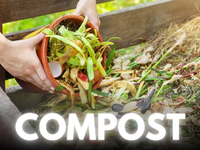 Seed Compost: A Practical Guide | Tips and tricks