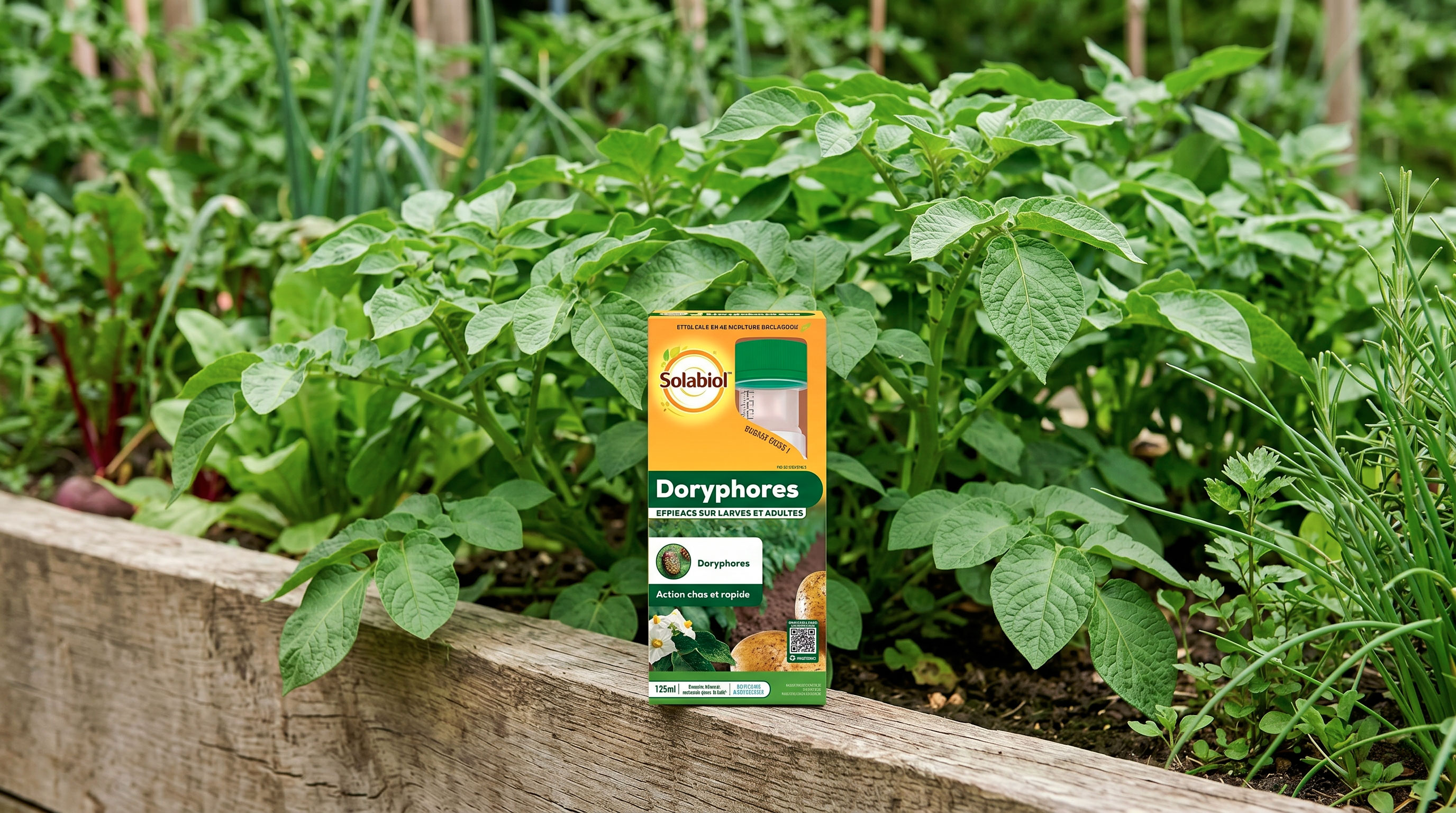 SOLABIOL Anti-Kartoffelkäfer: Die Bio-Revolution gegen Schädlinge im Gemüsegarten