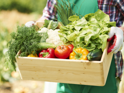 Cinq conseils pour réussir son potager bio