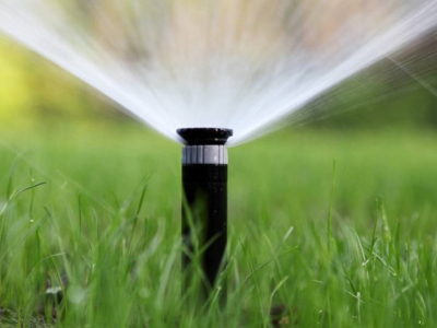Wann und wie kann man den Garten im Sommer bewässern?