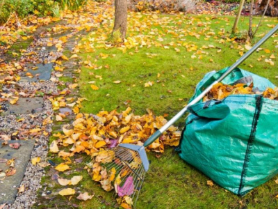 Fin del verano: mantén tu tierra para el otoño