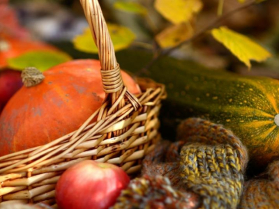 Otoño: ¡descubre las verduras de temporada!