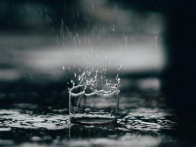 ¿Qué colector de agua de lluvia elegir?