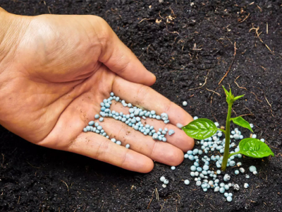 Come scegliere il fertilizzante giusto?