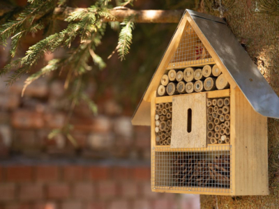 Pourquoi installer un hotel à insectes dans son jardin