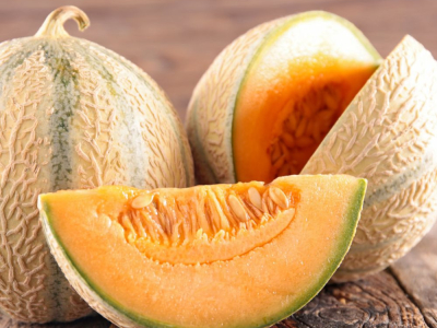 Growing melon: presentation, growing tips, harvest and recipes