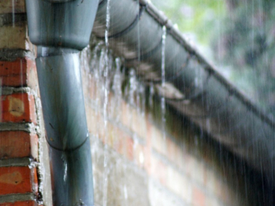 Regenwassernutzung: eine umweltfreundliche Lösung gegen Trockenheit