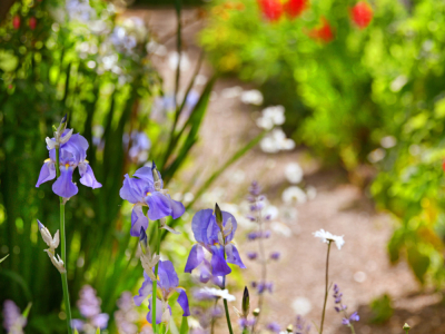 Comment transformez votre jardin en un sanctuaire de détente et de bien-être ?