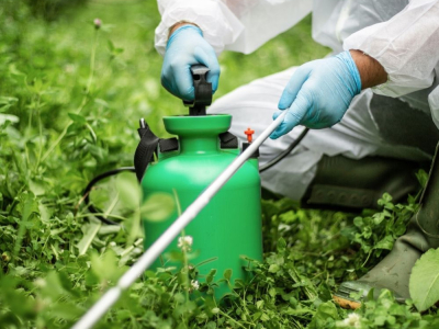 Descubrimiento de productos fitosanitarios: todo lo que necesitas saber