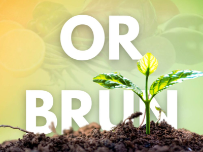 Suelo fértil, jardín feliz: el essentials Or Brun