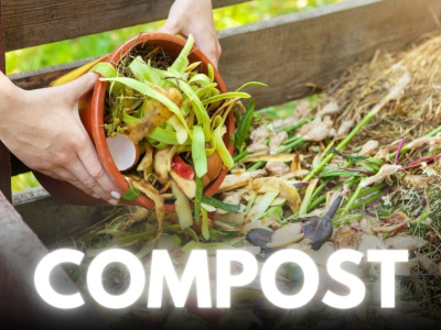 Compost de semillas: una guía práctica | Consejos y trucos