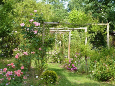 Ökologischer Gartenbau: 10 Dinge zu wissen