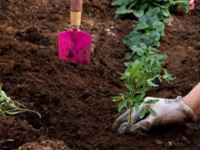 Come scegliere il tuo terreno?