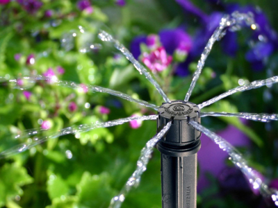 La micro-irrigation : quels avantages ?
