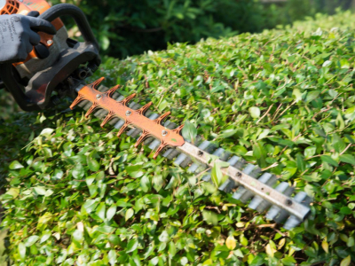 Pflege Ihres Gartens im Sommer: Unsere 5 Tipps