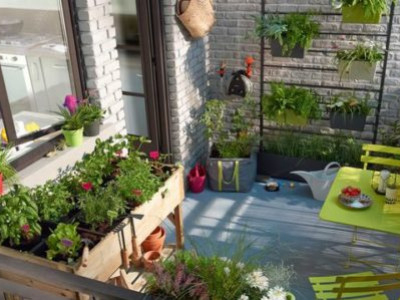 Jardiner en ville : que faire pousser sur un balcon ?