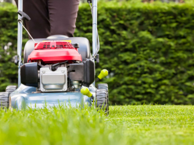 Lawn care: everything you need to know about your grass