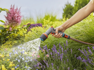 Innaffiare il giardino in estate: i nostri consigli