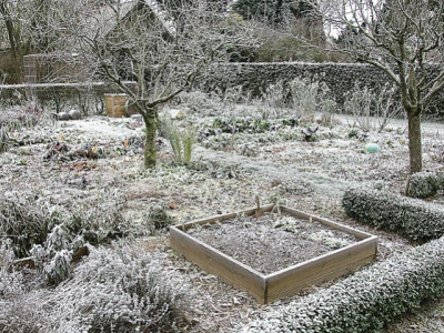 Was ist im Garten im Winter zu tun?