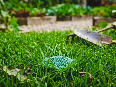 Professional Lawn Fertilizer: Complete Guide for a Perfect Lawn